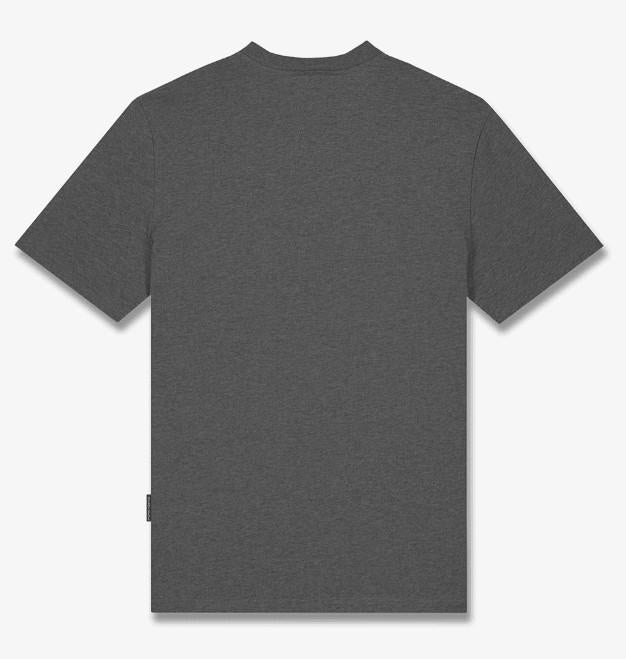 FIL147-TS STONE GREY BARON FILOU