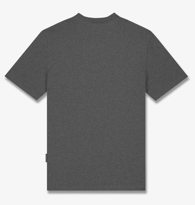  FIL147-TS STONE GREY BARON FILOU 