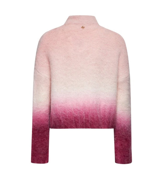  GPA25212MA PINK DEGRADÈ SILVIAN HEACH 