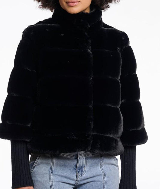  FELINE BLACK RINO&PELLE 