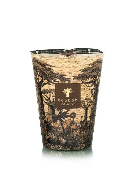  MAX24STMAN MARRONE BAOBAB COLLECTION 