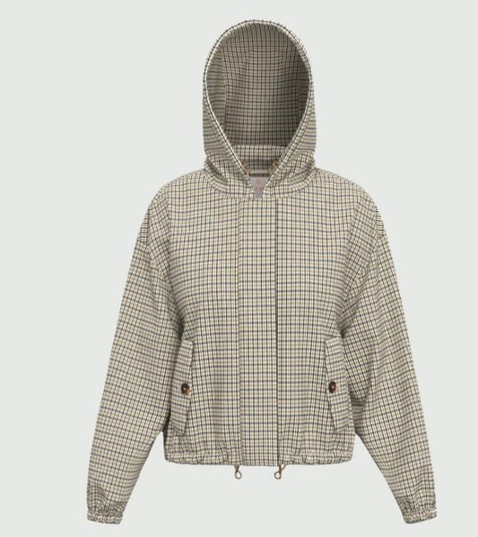  ZAMIA 004 EMME MARELLA 