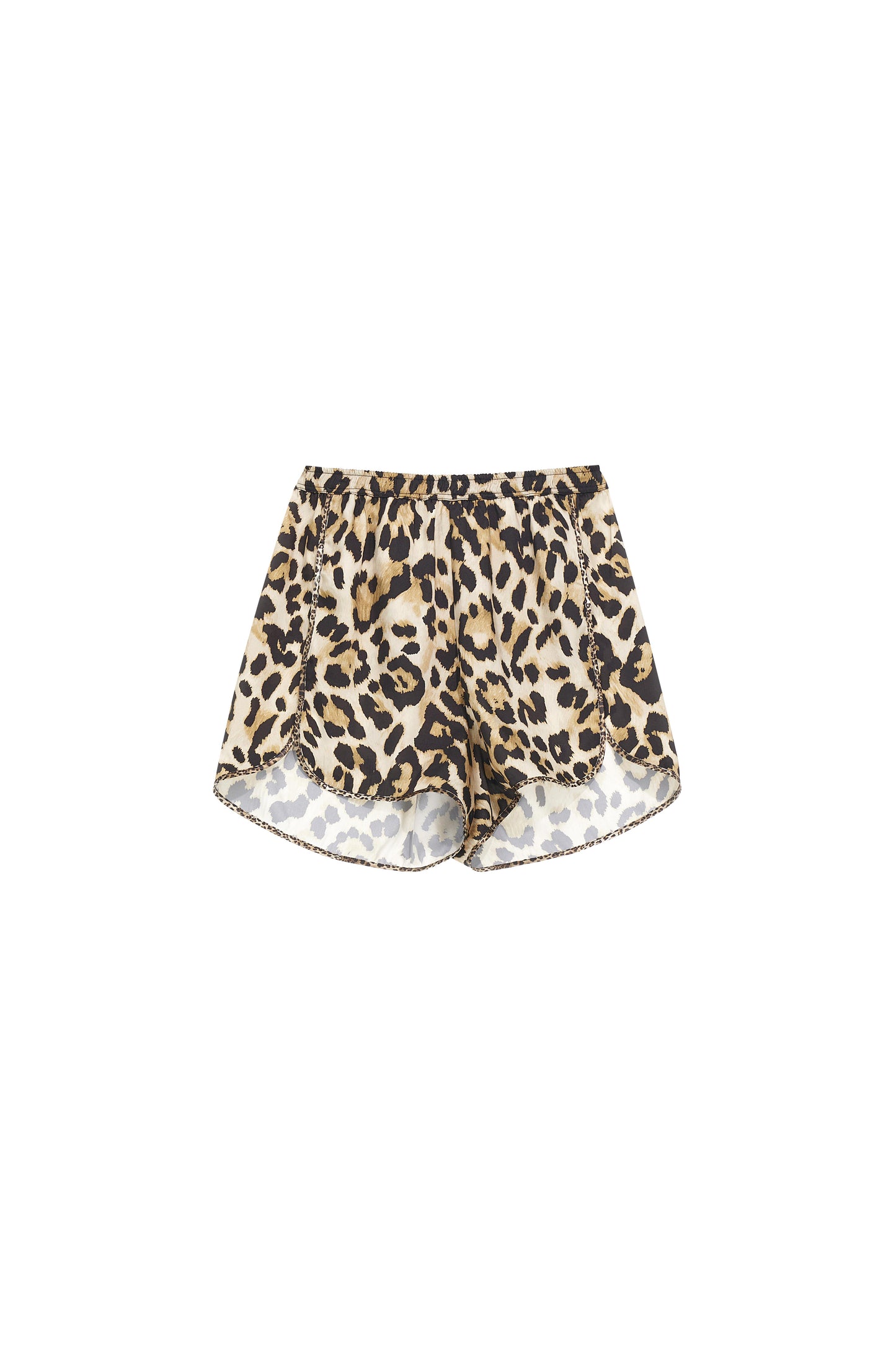  16078 MACULA ORIGINAL 5 PROGRESS 