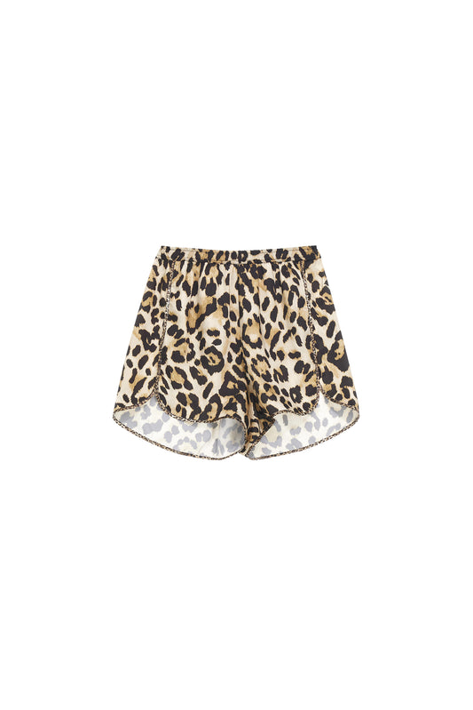  16078 MACULA ORIGINAL 5 PROGRESS 