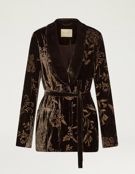  DAHLIA MO19B0660 MOMONÌ 