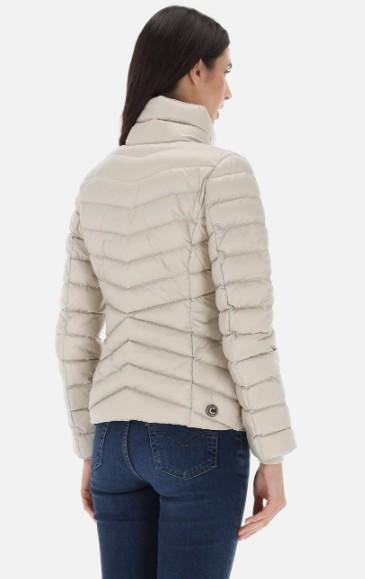  2229 2YO274 ETNA COLMAR ORIGINALS 