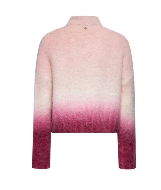  GPA25212MA PINK DEGRADÈ SILVIAN HEACH 